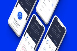 Pentroy SAAS Platform for Advertising